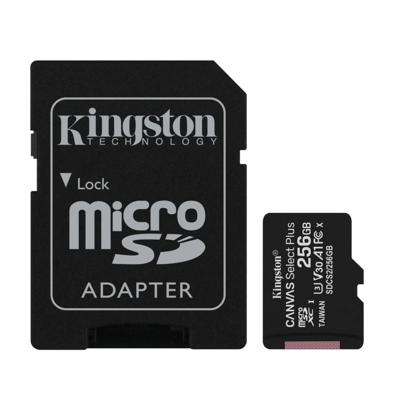 SDCS2/256GB-1